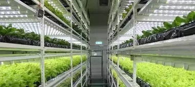 植物工廠 未來農業的先行者，走進9家頂尖生物技術研發機構